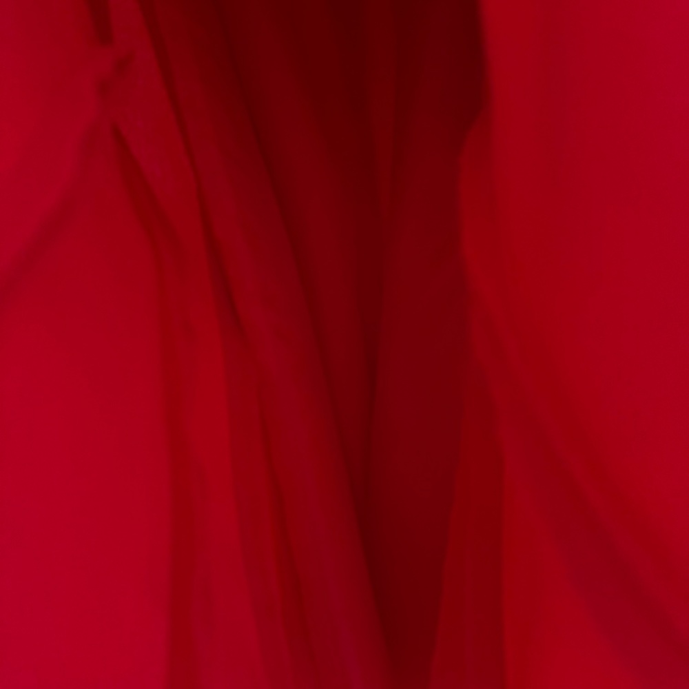 Dress - Picture 5 of 6